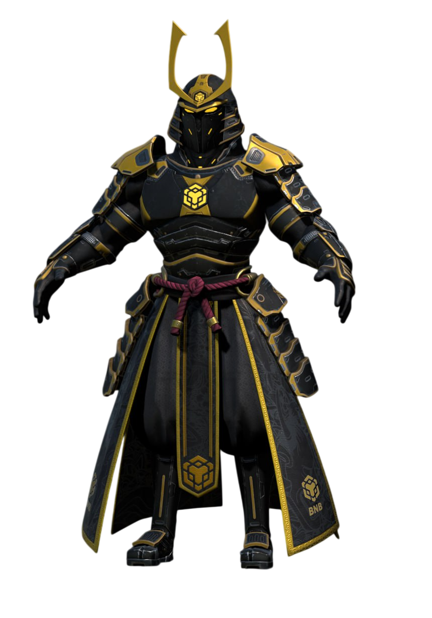 BNB Warrior